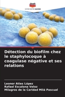 Détection du biofilm chez le staphylocoque à coagulase négative et ses relations 6206376818 Book Cover