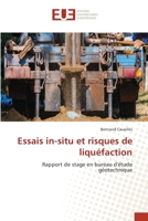Essais in-situ et risques de liquéfaction 6203423653 Book Cover