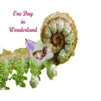 One Day In Wonderland: Magic of advanture in wonderland.Colorful Nature. 1086531035 Book Cover