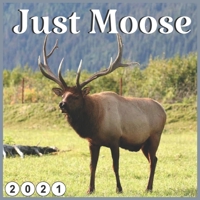 Just Moose: 2021 wall & Office Calendar 16 Monthe B087SGS6CK Book Cover