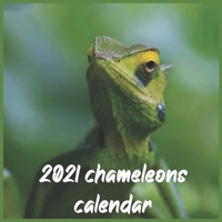2021 chameleons Calendar: wall & Office Calendar 16 Monthe Sep.2020 to Dec.2021 B087RGBT7L Book Cover