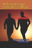 Tha Mi Homosexual: D�oghras Gay �r-sgeul coileanta B0863TW731 Book Cover
