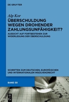 Überschuldung Wegen Drohender Zahlungsunfähigkeit?: Aussicht Auf Fortbestehen Zur Widerlegung Der Überschuldung 3111537579 Book Cover