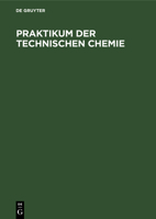 Praktikum Der Technischen Chemie 311010508X Book Cover