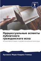 Процессуальные аспекты публичного гражданского иска: Коллективное право и профессиональные категории 6205933977 Book Cover