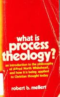 What is Process Theology?: An Introduction to the Philosophy of Alfred North Whitehead, and How it is Being Applied to Christian Thought Today 080911867X Book Cover