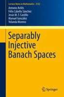 Separably Injective Banach Spaces 3319147404 Book Cover