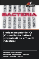 Biorisanamento del Cr (VI) mediante batteri provenienti da effluenti industriali (Italian Edition) 6206819612 Book Cover