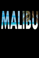 lifeguard daily planner 2020 Malibu: Malibu daily Planner 2020 Size 6x9inch daily weekly monthly Calendar 366 pages gift for lifeguard appointment book 2020 Annual Daily Diary Book 1676431861 Book Cover