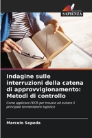 Indagine sulle interruzioni della catena di approvvigionamento: Metodi di controllo: Come applicare l'ECR per trovare ed evitare il principale tormentatore logistico (Italian Edition) B0CL6381CW Book Cover