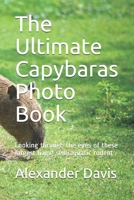 The Ultimate Capybaras Photo Book: Looking through the eyes of these largest living semiaquatic rodent B084DGDW72 Book Cover