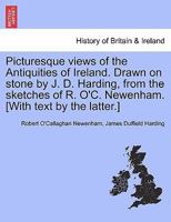 Picturesque Views of the Antiquities of Ireland 1274918049 Book Cover