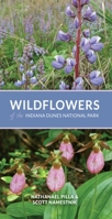 Wildflowers of the Indiana Dunes National Park 0253060419 Book Cover