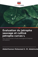 Évaluation du jatropha sauvage et cultivé Jatropha curcas L 620975516X Book Cover