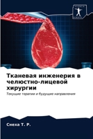 &#1058;&#1082;&#1072;&#1085;&#1077;&#1074;&#1072;&#1103; &#1080;&#1085;&#1078;&#1077;&#1085;&#1077;&#1088;&#1080;&#1103; &#1074; &#1095;&#1077;&#1083; 6203398675 Book Cover