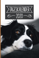 Tageskalender 2020: Terminkalender ca DIN A5 weiß über 370 Seiten I 1 Tag eine Seite I Jahreskalender I Border Collie I Hunde 1702075648 Book Cover