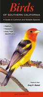 Birds of Southern California: A Guide to Common & Notable Species 193691395X Book Cover
