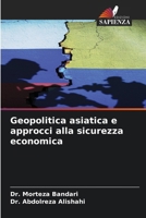 Geopolitica asiatica e approcci alla sicurezza economica (Italian Edition) 6208349214 Book Cover