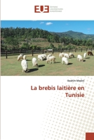 La brebis laitière en Tunisie 6139526884 Book Cover