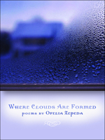 Where Clouds are Formed (Sun Tracks) 0816527792 Book Cover