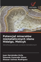 Potencjal mineralów niemetalicznych stanu Hidalgo, Meksyk (Polish Edition) 6209037437 Book Cover