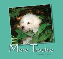 More Trouble 1932570586 Book Cover