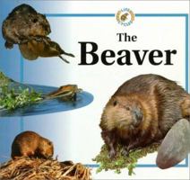 The Beaver 081724249X Book Cover