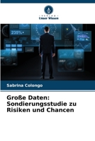 Große Daten: Sondierungsstudie zu Risiken und Chancen 6205846225 Book Cover