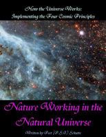 How the Universe Works: Implementing the Four Cosmic Principles: Nature Working in the Natural Universe 1492869457 Book Cover