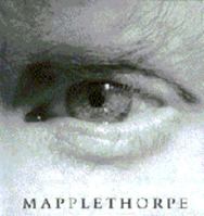 Mapplethorpe 3832792147 Book Cover