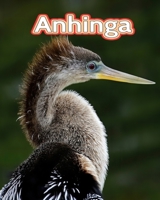 Anhinga: Facts Book B0C1DPT3VB Book Cover