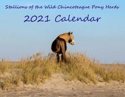 Stallions of the Wild Chincoteague Pony Herds 2021 Calendar 1792329814 Book Cover