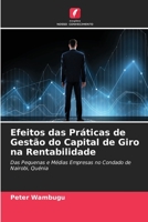Efeitos das Práticas de Gestão do Capital de Giro na Rentabilidade 6205755610 Book Cover