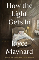 How the Light Gets In: A Novel 0063422697 Book Cover