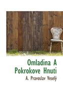 Omladina a Pokrokove Hnuti 0530920670 Book Cover