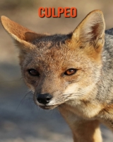 Culpeo: Foto stupende e fatti divertenti Libro sui Culpeo per bambini B095TK4YK2 Book Cover