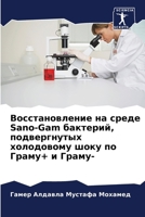 ?????????????? ?? ????? Sano-Gam ????????, ????? 6207070410 Book Cover