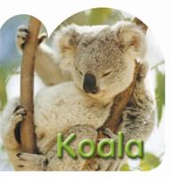Koala (Board Book) 1740214064 Book Cover