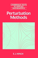 Perturbation Methods (Cambridge Texts in Applied Mathematics) 0521378974 Book Cover