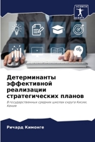 Детерминанты эффективн&# 6205859459 Book Cover