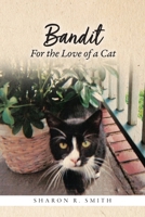 Bandit: For the Love of a Cat B0BN4TG87P Book Cover