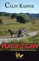 Pui de tigan 6069319532 Book Cover