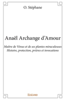 Anaël Archange d'Amour (French Edition) 2334097993 Book Cover