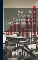 Bank und Valuta in Oesterreich-Ungarn, 1862-1873 1022182382 Book Cover