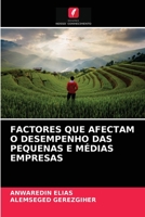 FACTORES QUE AFECTAM O DESEMPENHO DAS PEQUENAS E MÉDIAS EMPRESAS 6203689483 Book Cover