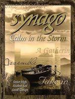 Synago Calm in the Storm Leader: Student Led Senior High Cell Group 0687049237 Book Cover