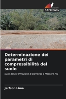 Determinazione dei parametri di compressibilità del suolo 6207329465 Book Cover