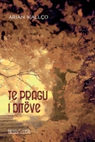 Te pragu i ditëve: Haiku 1716403103 Book Cover