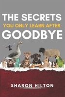 THE SECRETS YOU ONLY LEARN AFTER GOODBYE B0FF54XQXW Book Cover