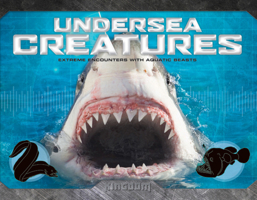 Kingdom: Undersea Creatures 0753465698 Book Cover